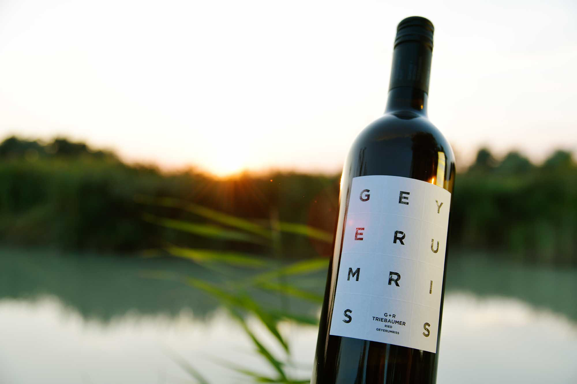 Eine Flasche Triebaumer Ried Geyerumriss vor dem Neusiedlersee